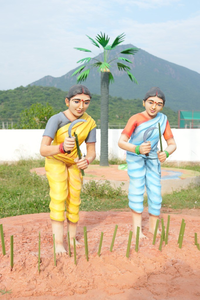 Rural Life & Traditional Village Cluster